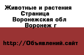  Животные и растения - Страница 22 . Воронежская обл.,Воронеж г.